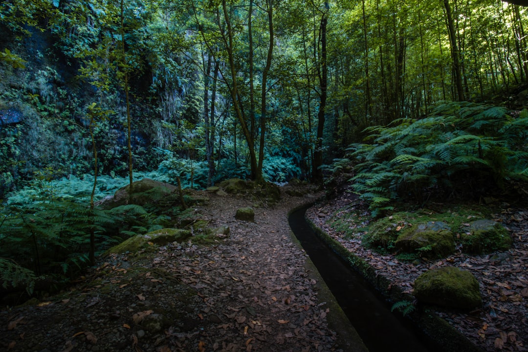Unleashing the Wanderlust: Embracing the Great Outdoors
